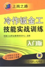 冷作钣金工技能实战训练 入门版