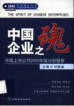 中国企业之魂 中国上市公司2003年报分析报告