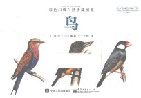 彩色口袋自然珍藏图鉴 鸟