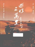 西行三万里 王志看丝路