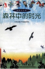 探险大自然 森林中的时光