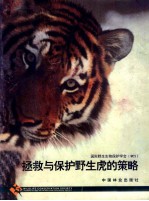 拯救与保护野生虎的策略