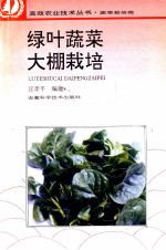 绿叶蔬菜大棚栽培