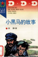 小黑马的故事