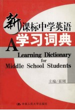 新课标中学英语学习词典 高中版