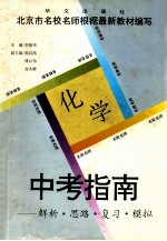 中考指南 解析·思路·复习·模拟 化学