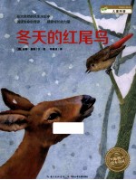 冬天的红尾鸟