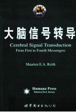 大脑信号转导