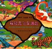 双冠龙飞车遇险