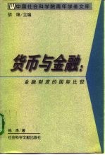 货币与金融 金融制度的国际比较