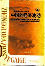 中国的经济波动