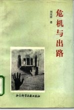 危机与出路