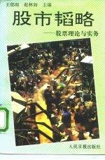 股市韬略 股票理论与实务