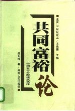 共同富裕论 中国公平分配模式选择