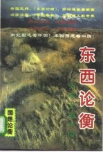 东西论衡 天平上的中国