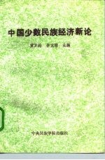 中国少数民族经济新论