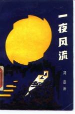 一夜风流