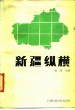 新疆纵横