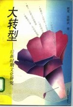 大转型 后新时期文化研究