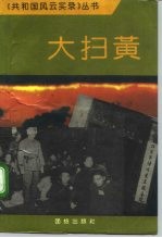 大扫黄