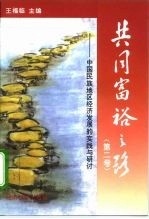 共同富裕之路 第2卷 中国民族地区经济发展的实践与研讨
