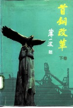 首钢改革 下