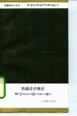 西藏经济概述