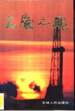 大庆之魂 大庆油田开发建设30年中的年轻人