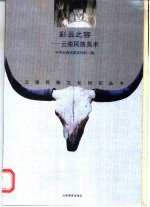 彩云之容 云南民族美术