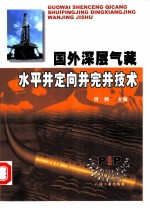 国外深层气藏水平井定向井完井技术