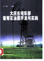 大庆长垣东部葡萄花油层开发与实践