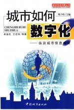 城市如何数字化? 纵谈城市信息建设