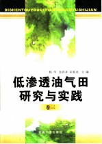 低渗透油气田研究与实践 卷3
