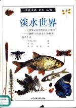 淡水世界 图集