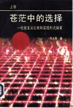 苍茫中的选择-社会主义公有制实现形式探索 上