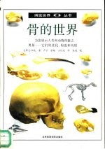 骨的世界 图集