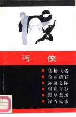 丐侠
