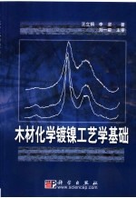 木材化学镀镍工艺学基础