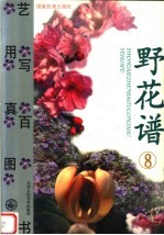 野花谱 第8册
