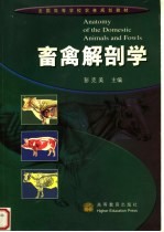 全国高等学校农林规划教材 畜禽解剖学