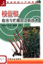 板蓝根栽培与贮藏加工新技术