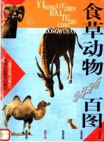 食草动物百图
