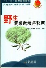 野生蔬菜栽培与利用
