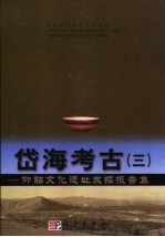 岱海考古 3 仰韶文化遗址发掘报告集