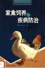 家禽饲养与疾病防治