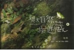 与大自然捉迷藏 6