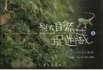 与大自然捉迷藏 4 蜥蜴·蛇类·甲虫·蜘蛛