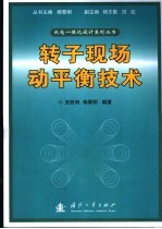 转子现场动平衡技术