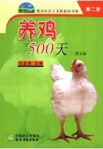 养鸡500天