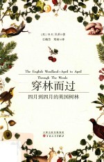 穿林而过 四月到四月的英国树林